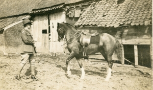My great grandfather Norman Morriss with his horse he used for transport while he was fighting in Northern France. 